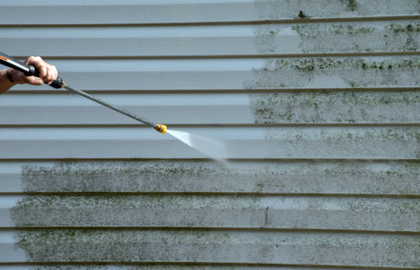 Best Residential Exterior Washing  in USA